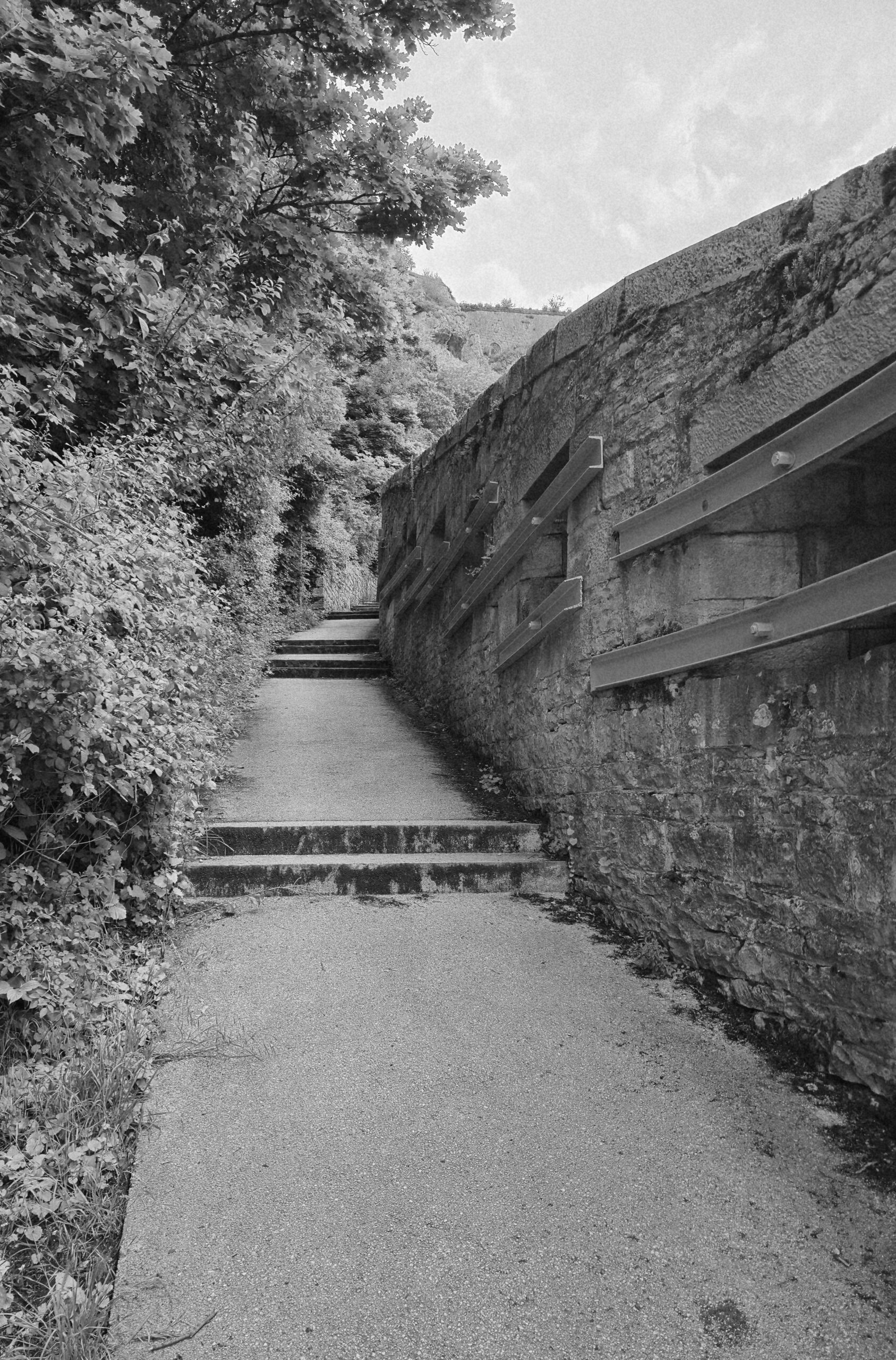 Schopenhauer on the Will To Life: Perpetual Striving