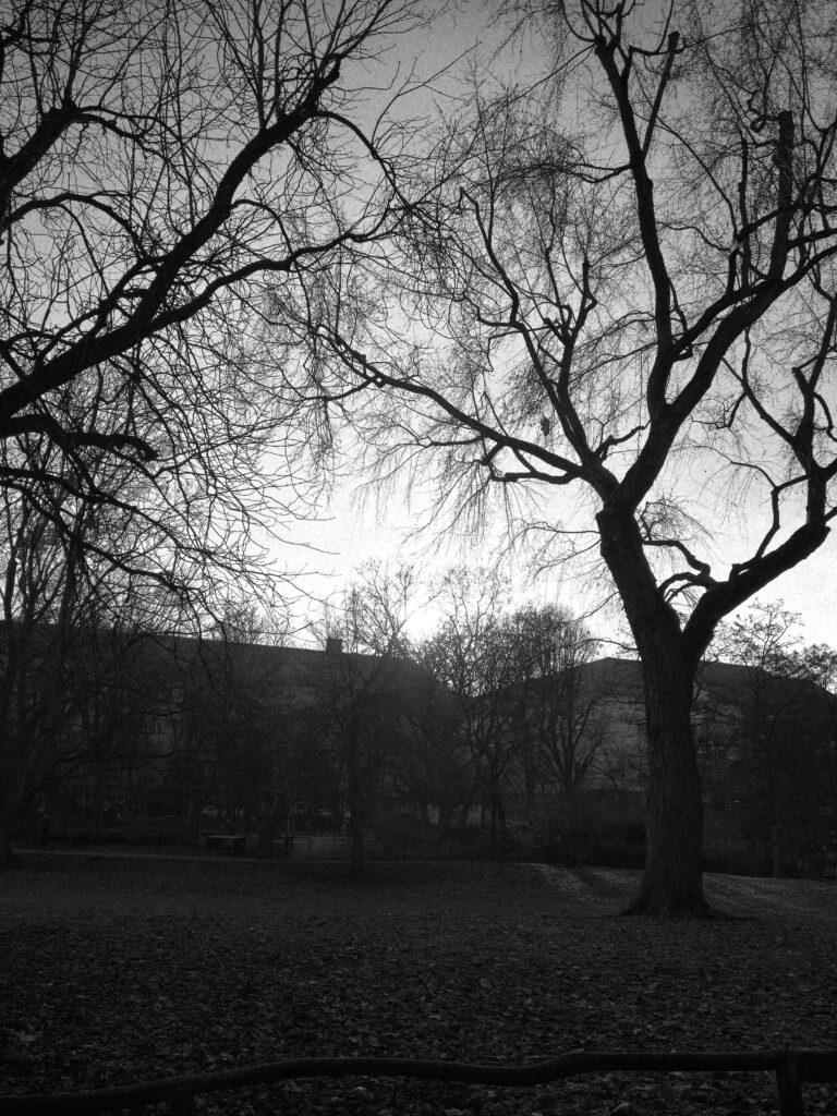 Schopenhauer on Life as Continuous Dying 