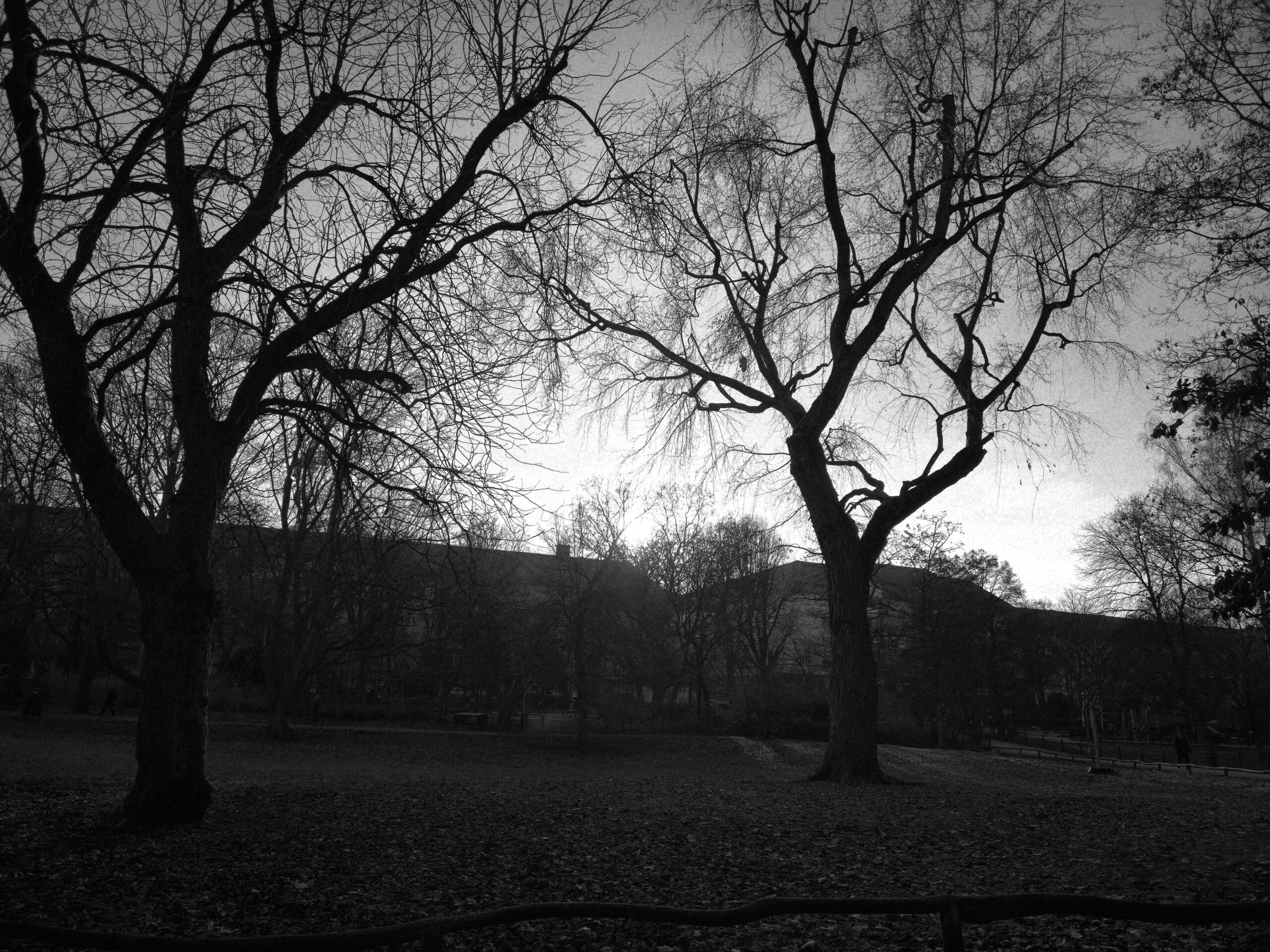 Schopenhauer on Life as Continuous Dying 